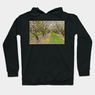 Almond Blossoms Hoodie